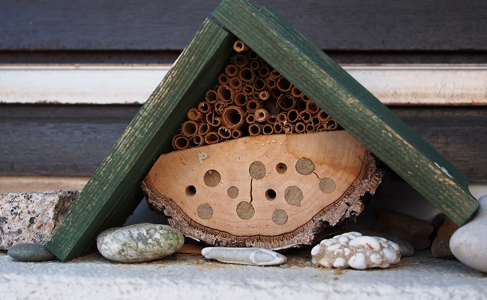 Bienenhaus als Insektenhotel