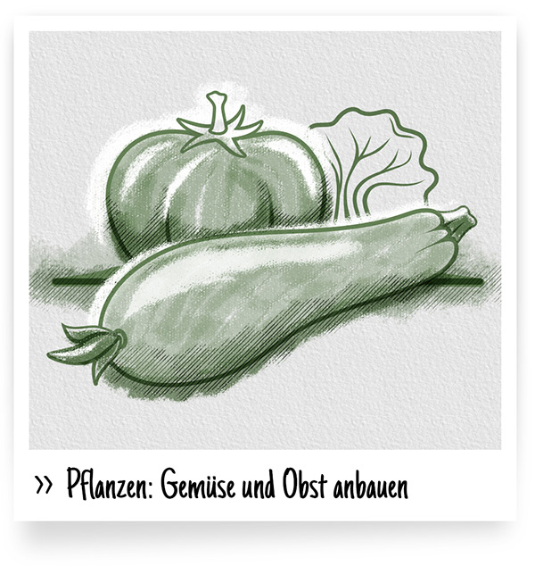 Pflanzen: Gemüse und Obst anbauen